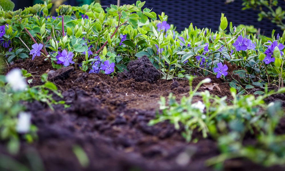 adding-organic-matter-to-garden-soil